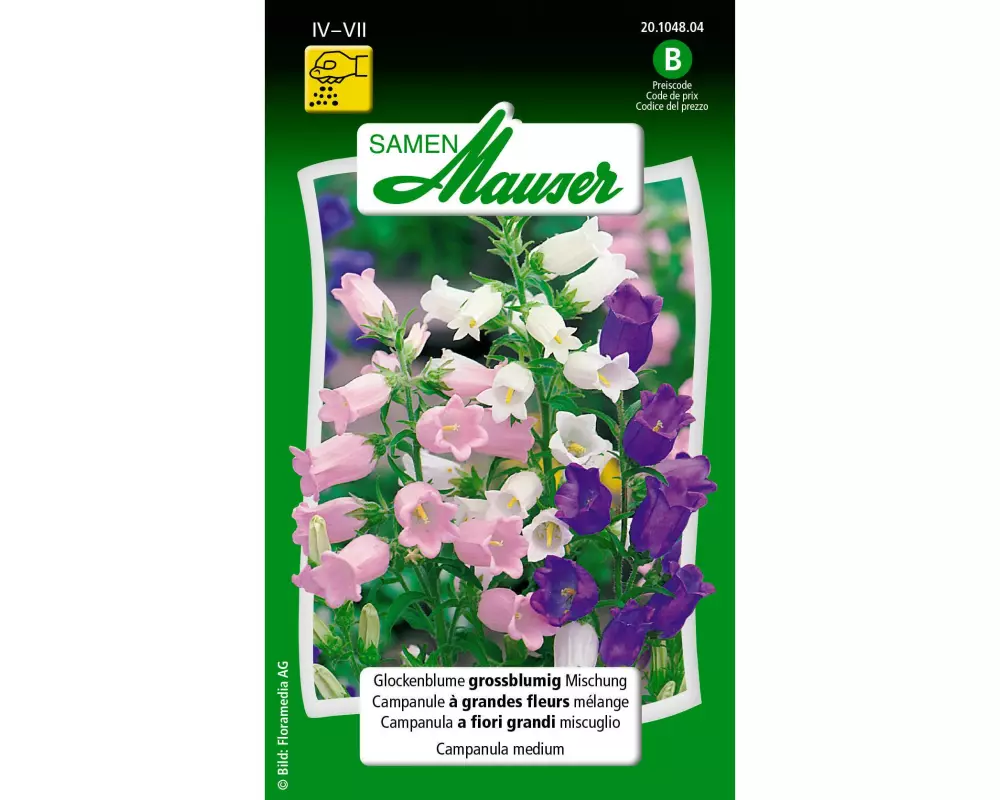 Samen Mauser Saatgut Glockenblume grossblumige Mischung