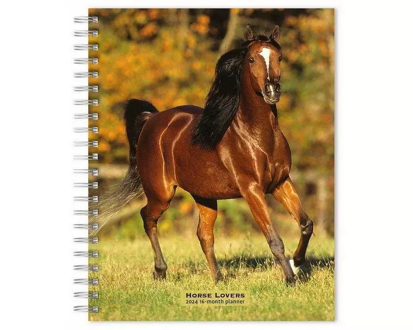 Horse Lovers 2024 Engagement