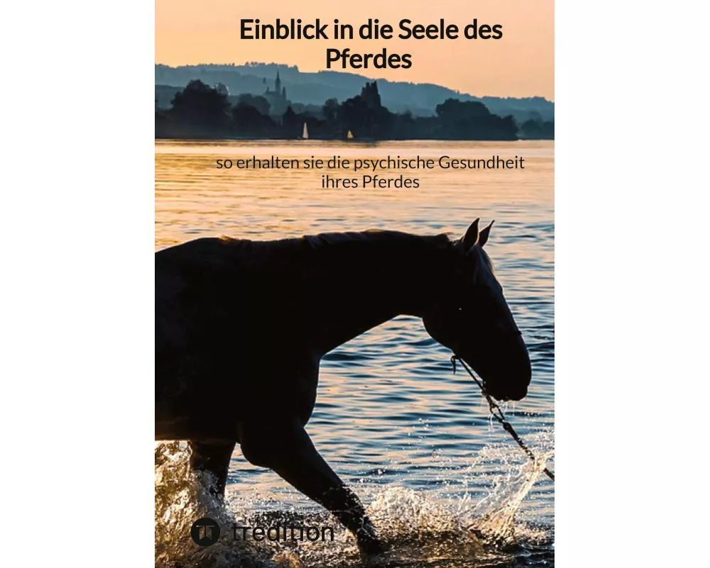 Einblick in die Seele des Pferdes - so erhalten sie die psychische Gesundheit ihres Pferdes