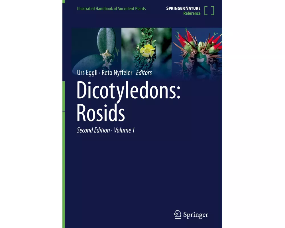 Dicotyledons: Rosids