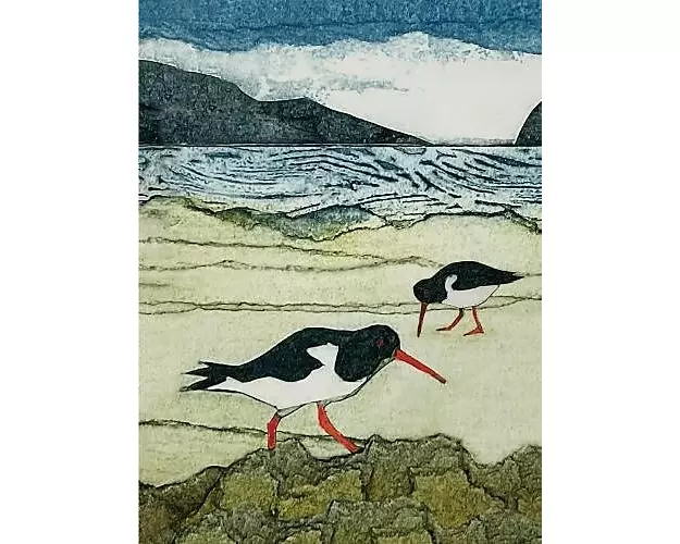 Wild Birds Pocket Notebook: Oystercatcher