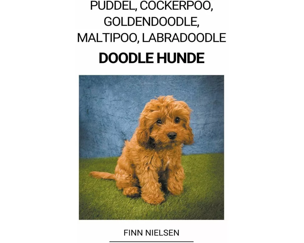 Puddel, Cockerpoo, Goldendoodle, Maltipoo, Labradoodle (Doodle Hunde)