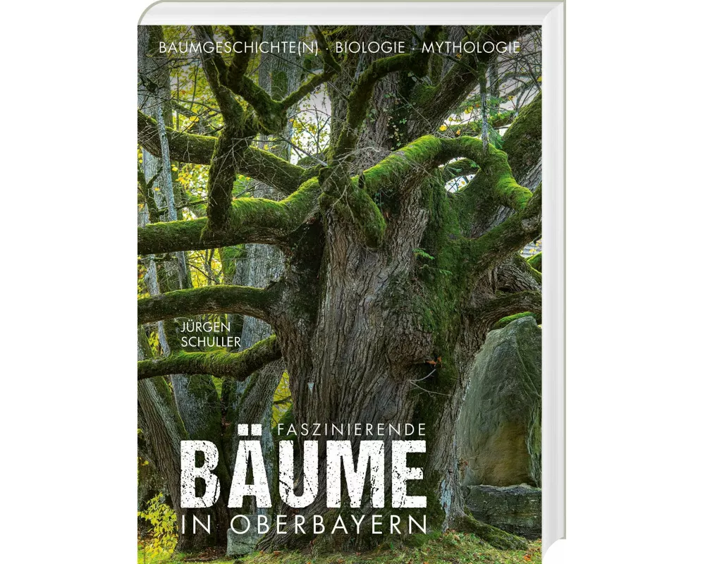 Faszinierende Bäume in Oberbayern