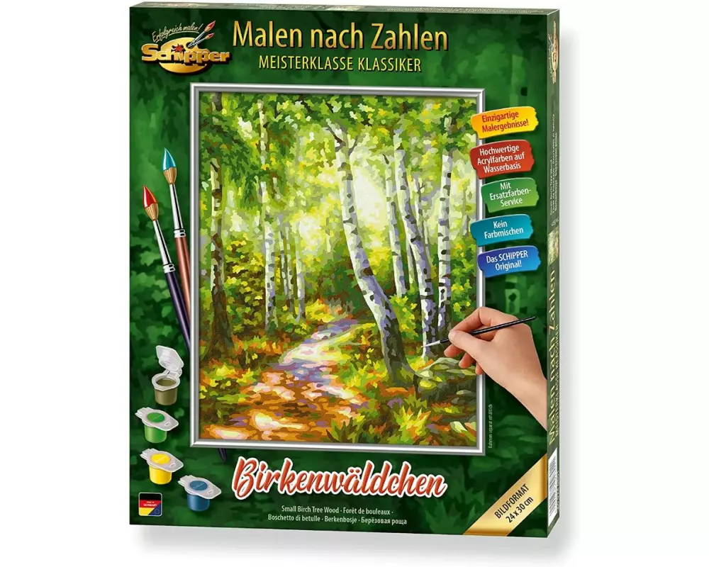 Schipper Malen nach Zahlen Birkenwäldchen