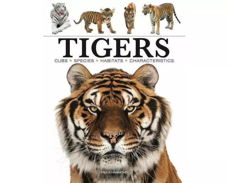 Tigers