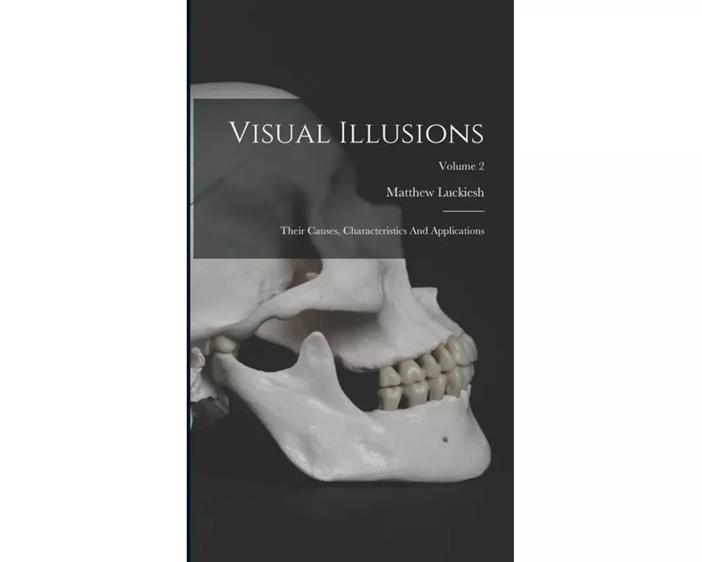 Visual Illusions