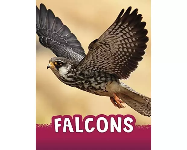 Falcons