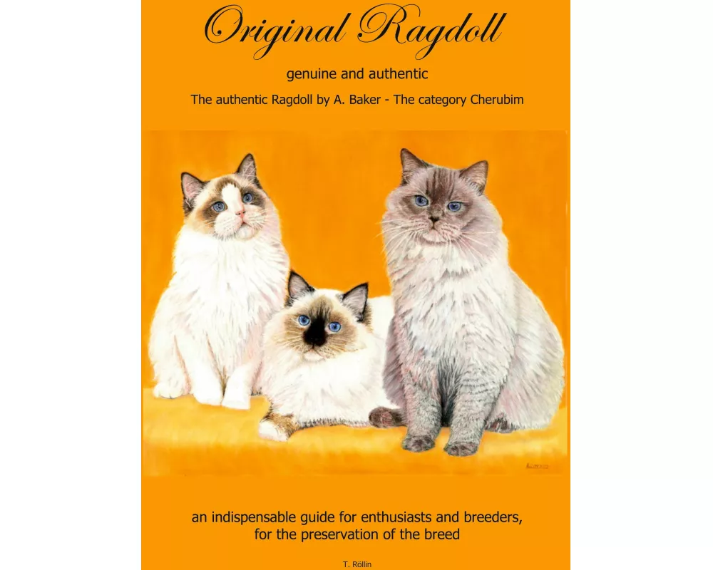 Original Ragdoll