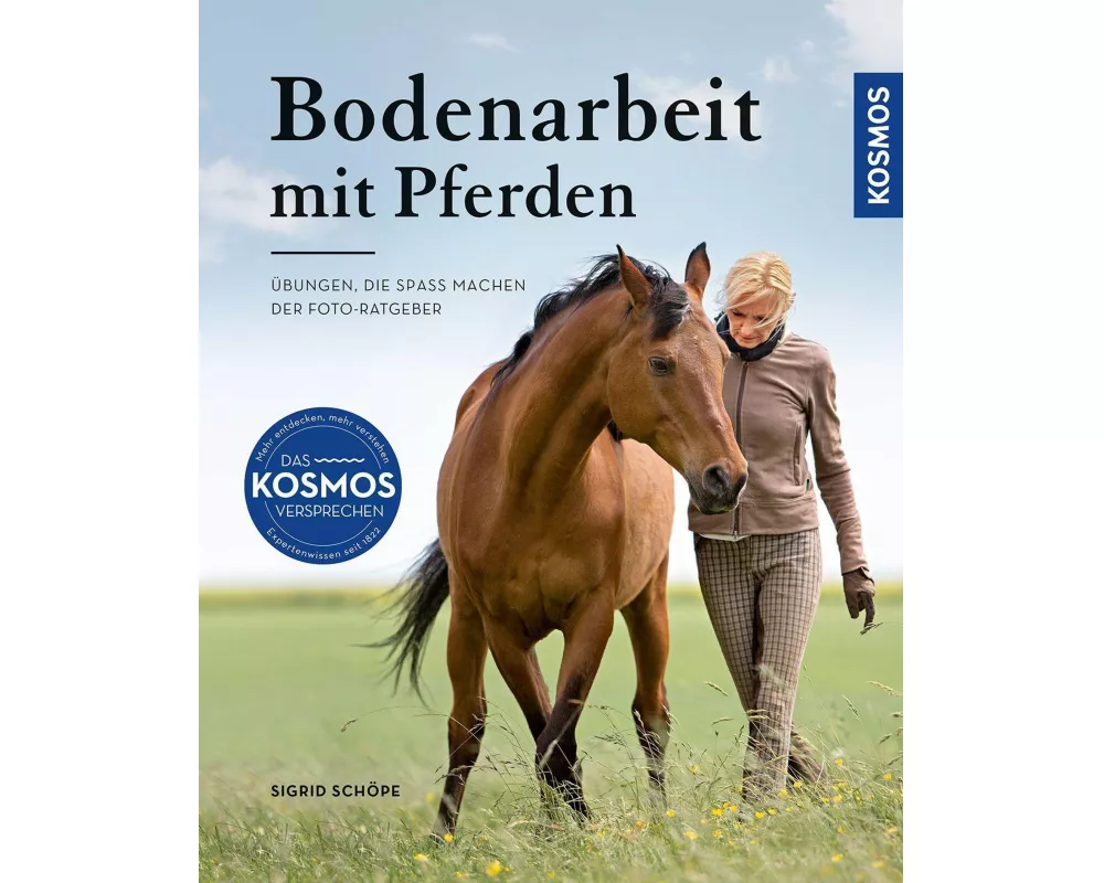 Bodenarbeit mit Pferden