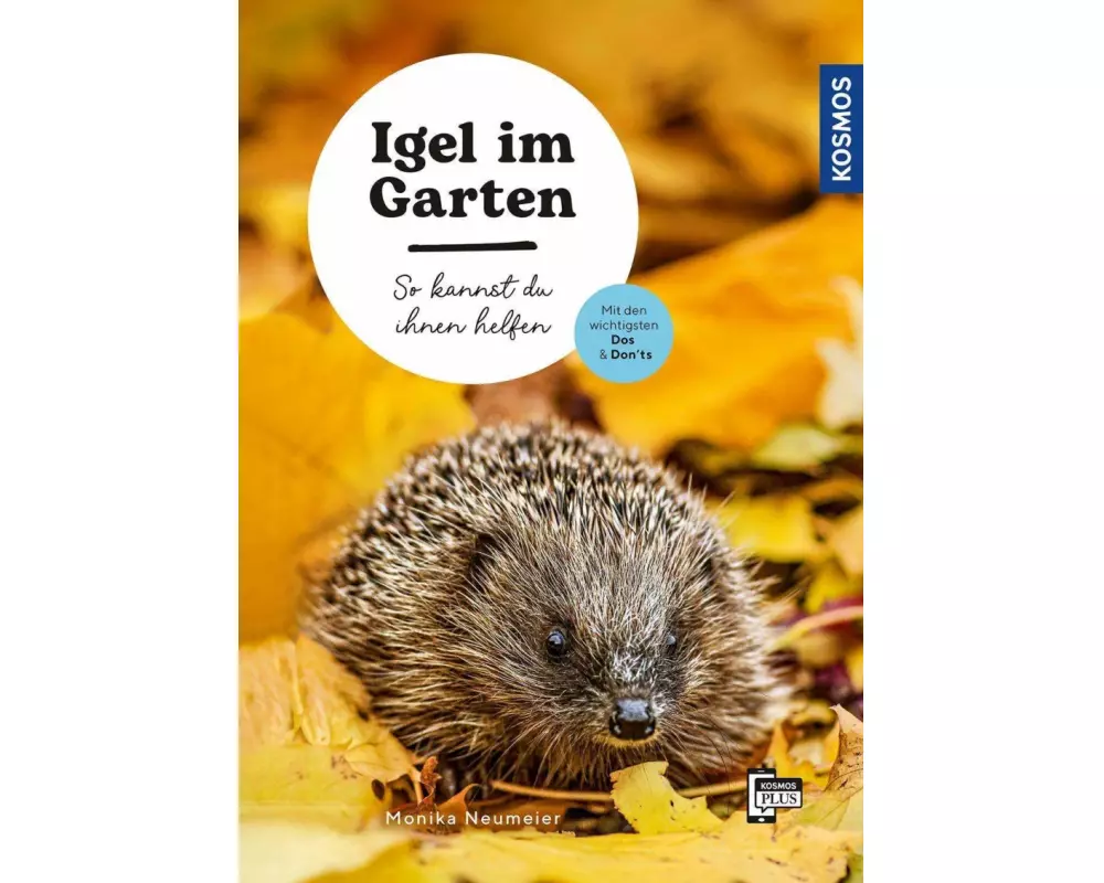 Igel im Garten