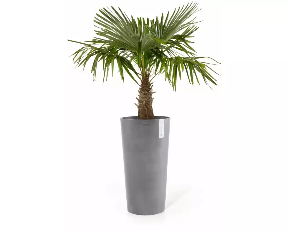 Ecopots Blumentopf Amsterdam High Ø 76 cm Hellgrau