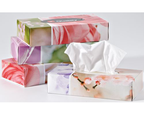 QUALITY Kosmetiktücher 992821 2-lagig 4x100 Stück