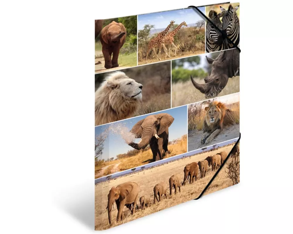 HERMA Gummibandmappe A3 Afrika, Karton, mit Innendruck