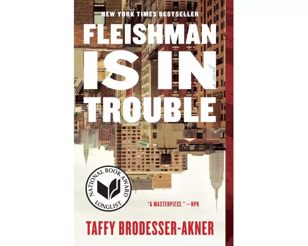 Fleishman Is in Trouble