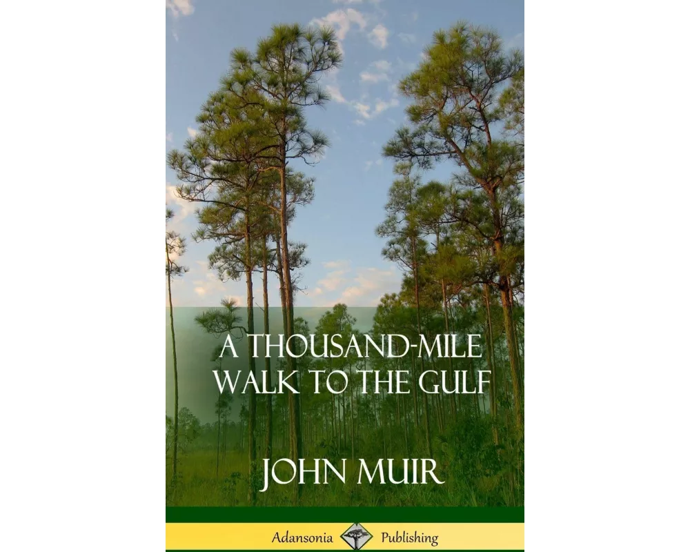 A Thousand-Mile Walk to the Gulf (Hardcover)
