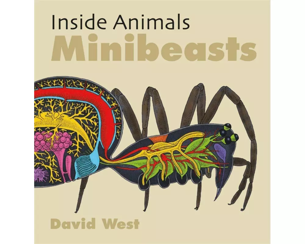 Inside Animals: Minibeasts