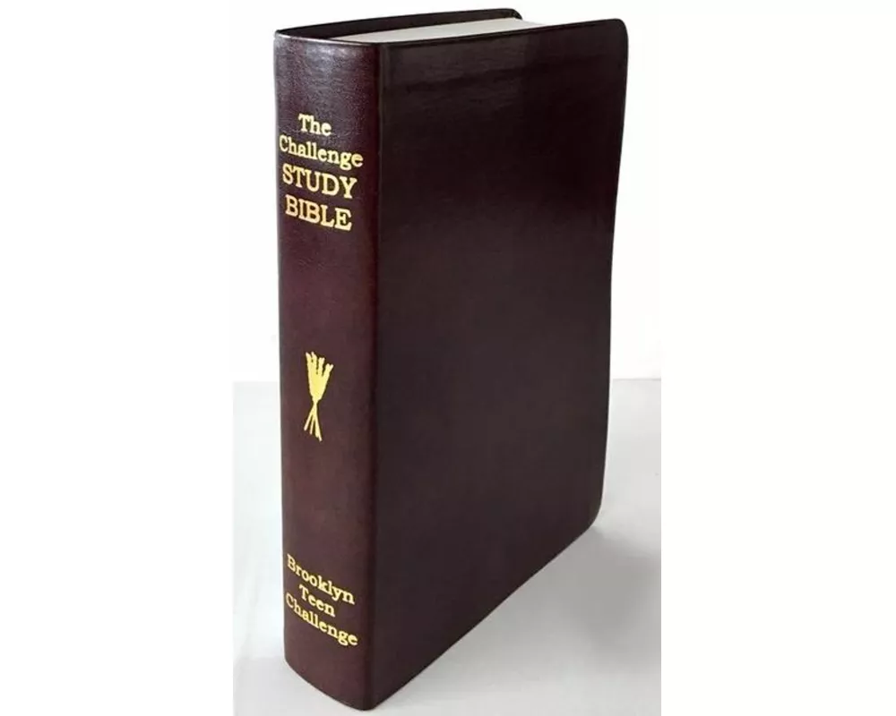 CEV Challenge Study Bible-Flexi Cover
