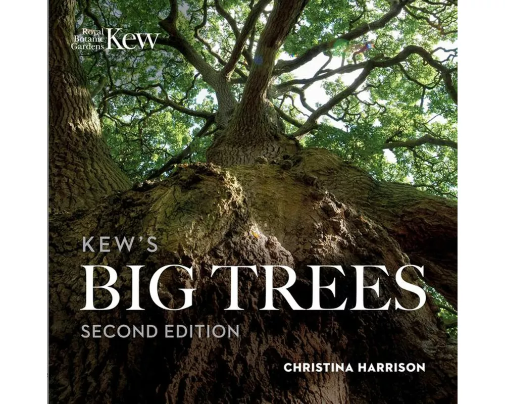 Kew’s Big Trees