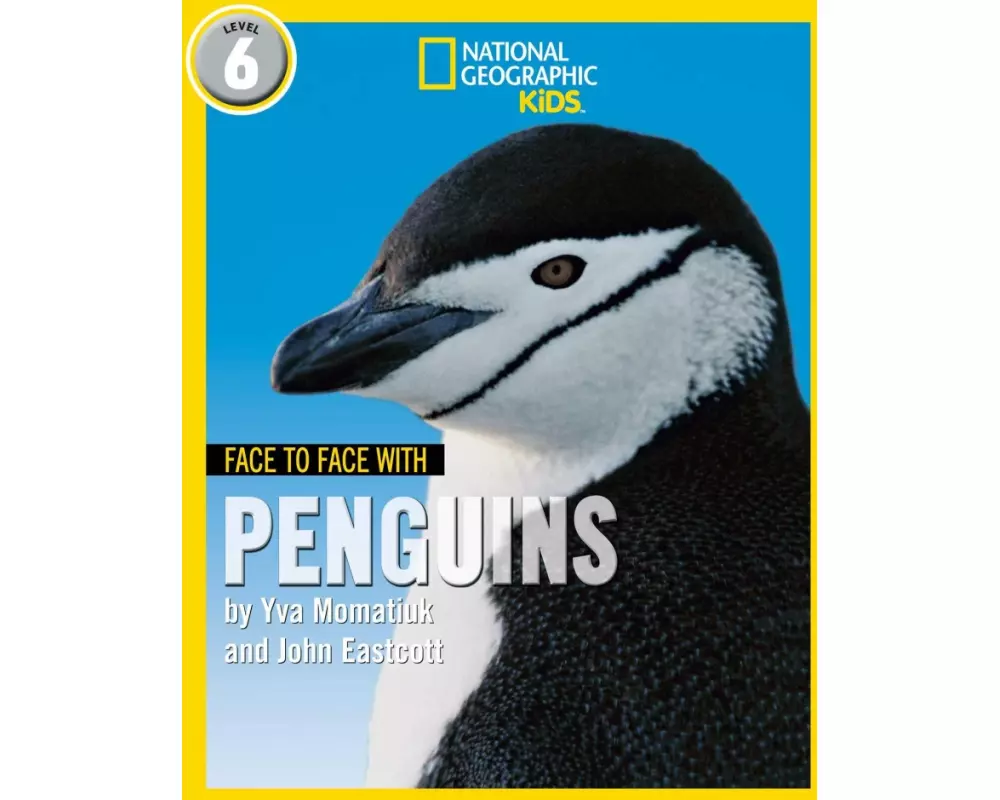 Face to Face with Penguins