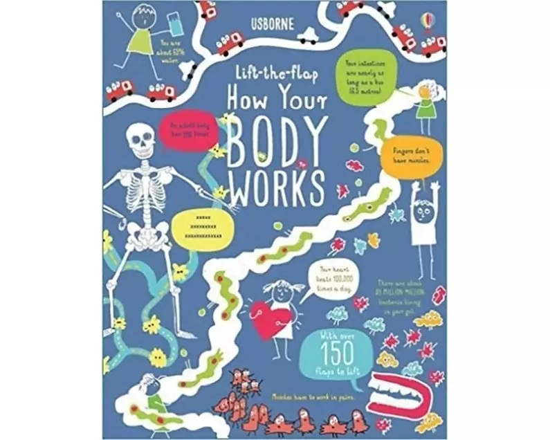 Lift-the-Flap How Your Body Works