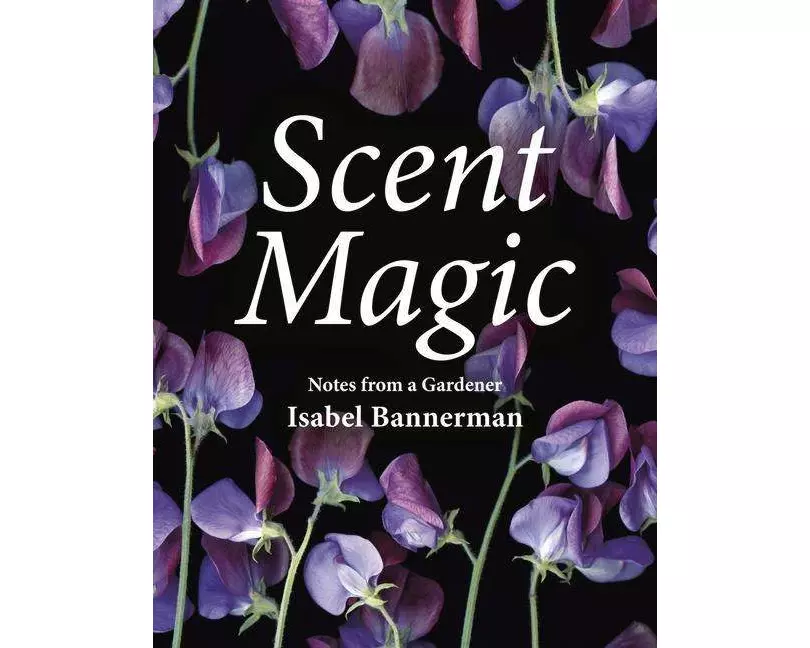 Scent Magic