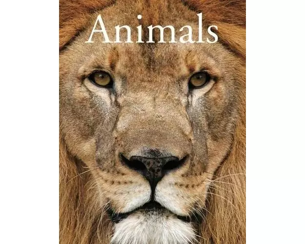 Animals