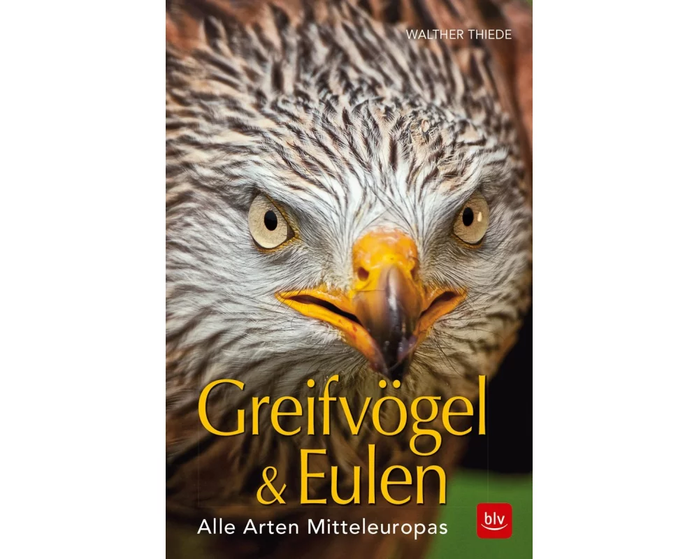 BLV Greifvögel & Eulen