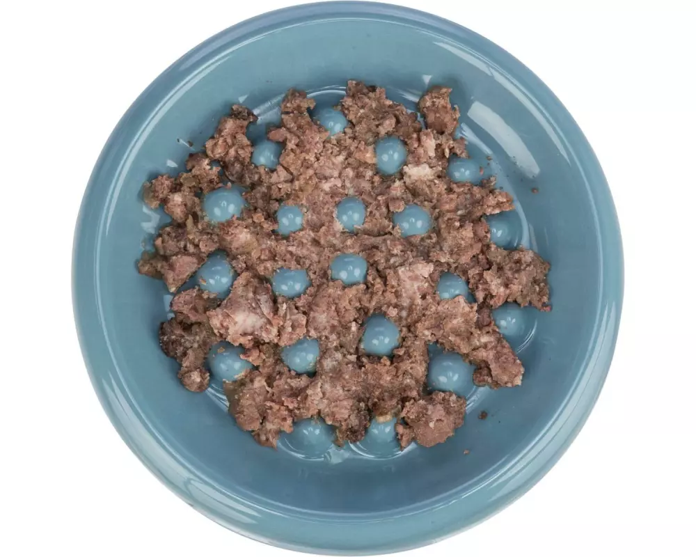 Trixie Keramiknapf Slow Feed 0.25 l / ø 18 cm, Assortiert