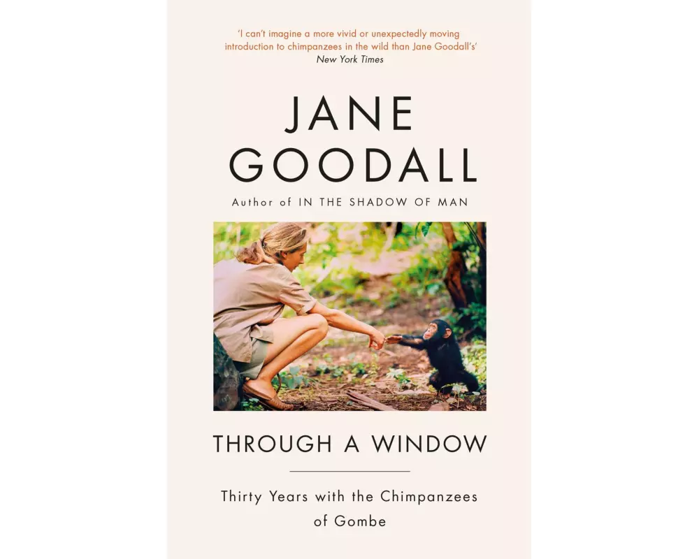 Through A Window