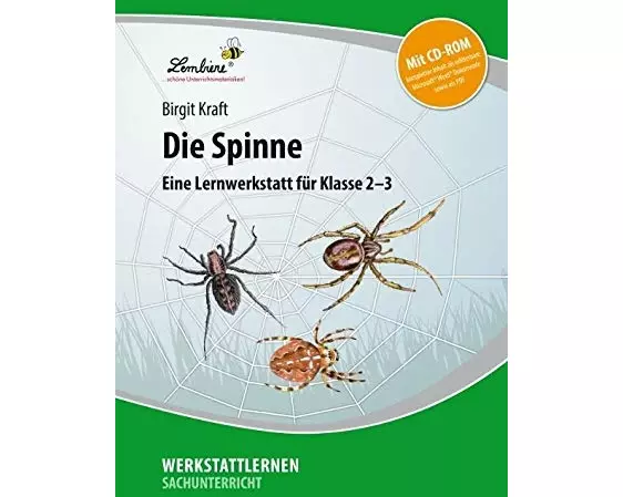 Die Spinne