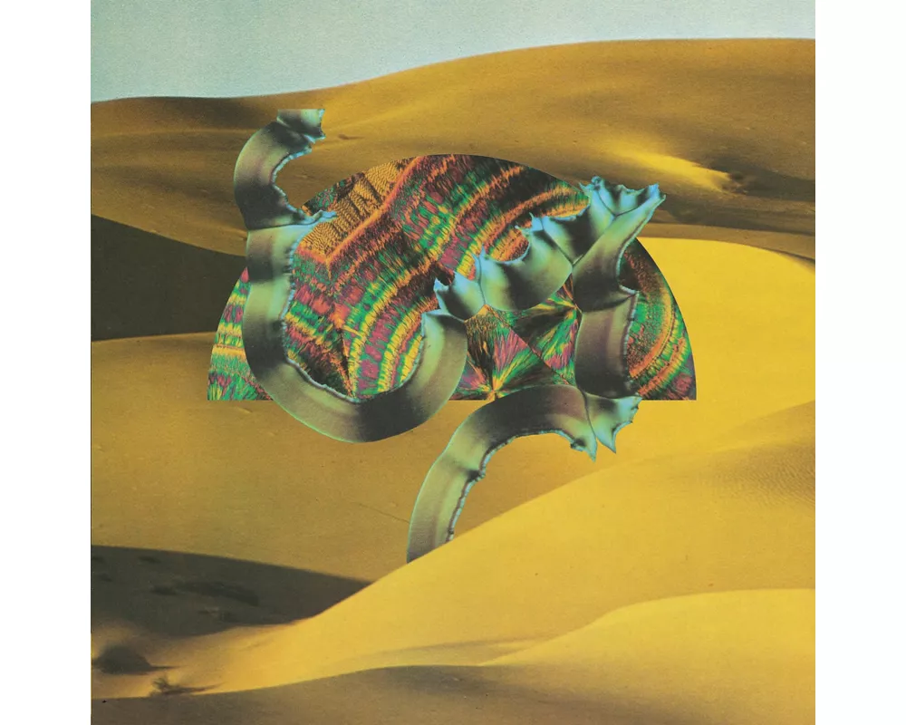 Django Django