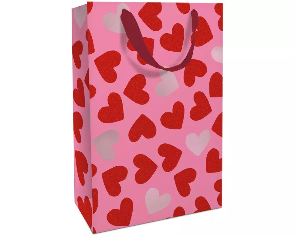 Braun + Company Geschenktasche Herzen 26 x 36 x 13 cm