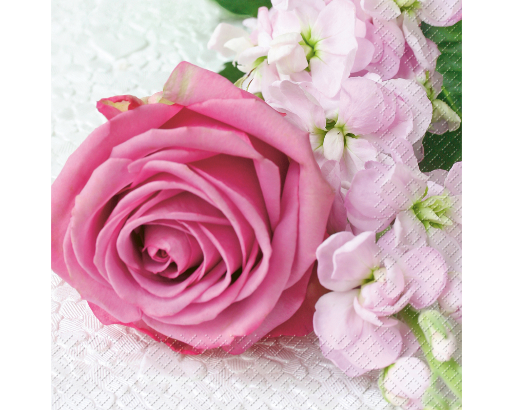 STEWO Serviette Vanessa 25x25cm 2573621128 pink 20 Stück