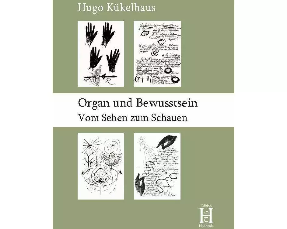 Organ und Bewusstsein