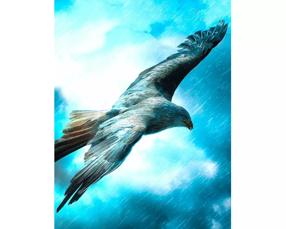 Fantasy Notizbuch: Adler im Sturm - weiße Seiten mit Eckmotiv