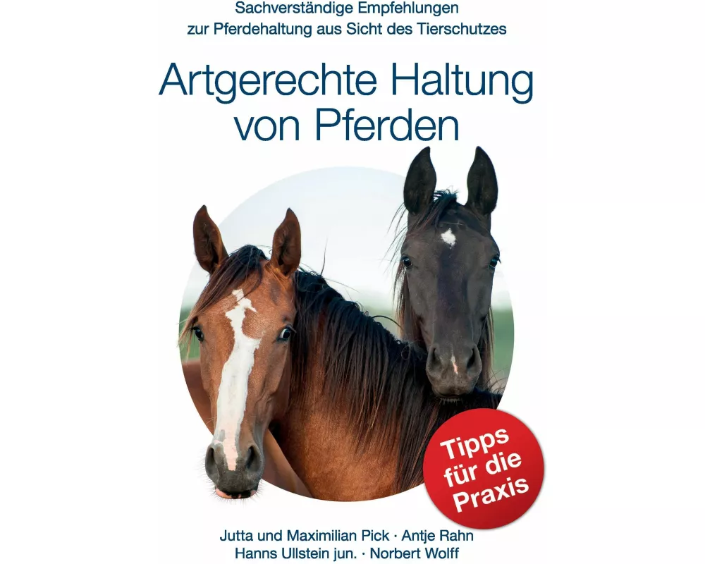 Artgerechte Haltung von Pferden