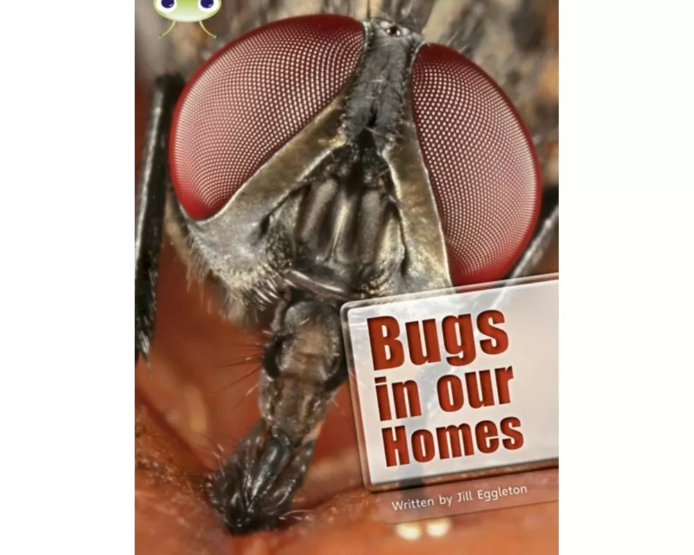 Bug Club Independent Non Fiction Year Two Lime A Bugs in our Homes