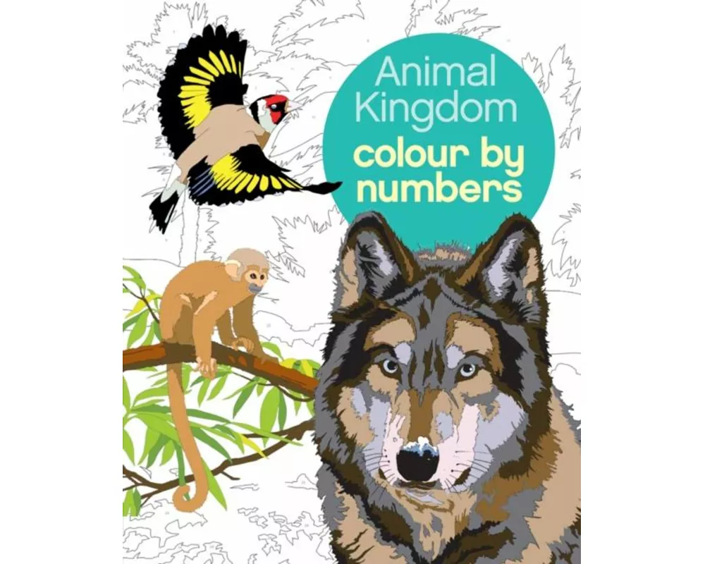 Animal Kingdom Colour by Numbers