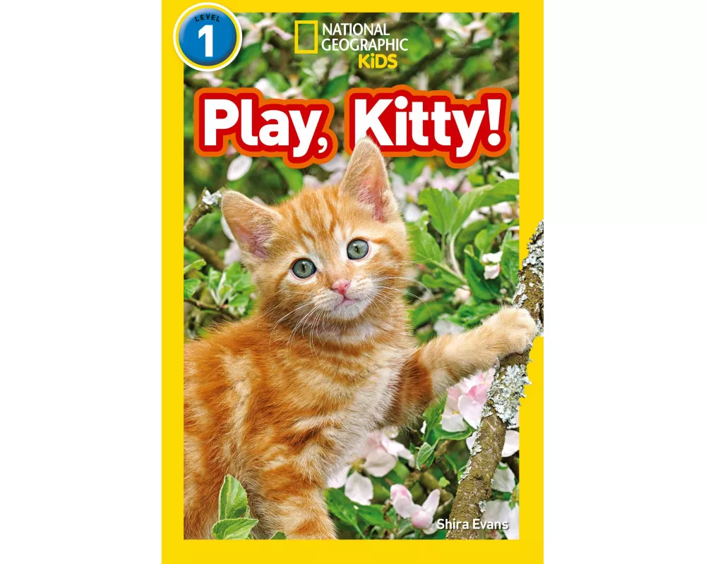 Play, Kitty!