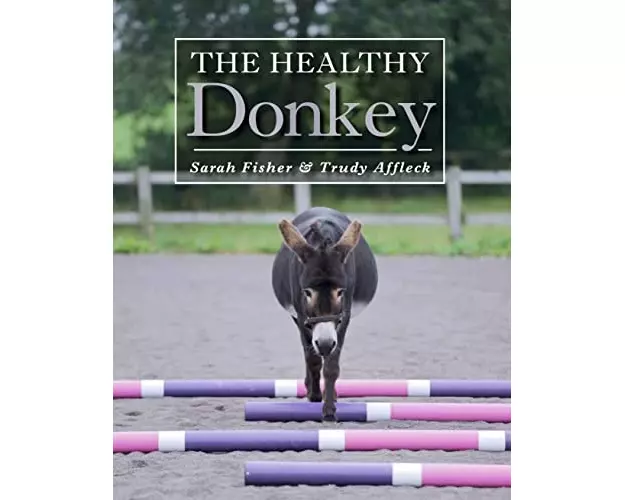 The Healthy Donkey