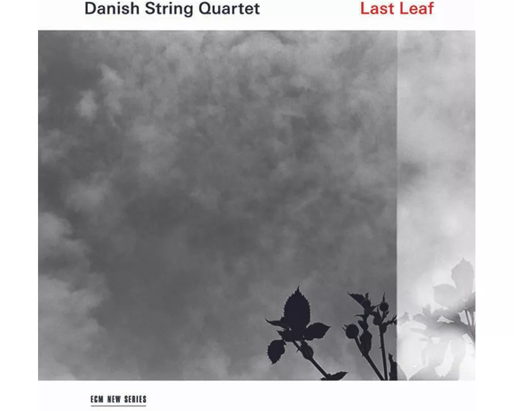 Last Leaf