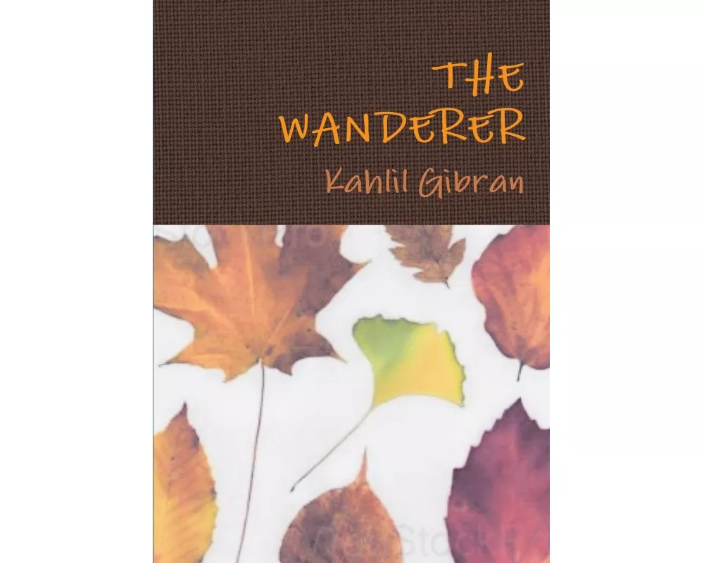 The Wanderer
