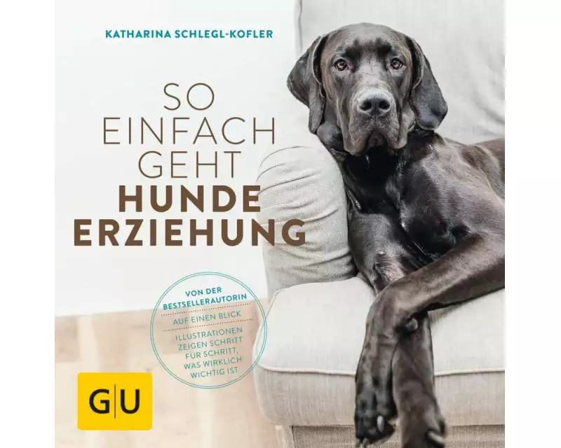 So einfach geht Hundeerziehung