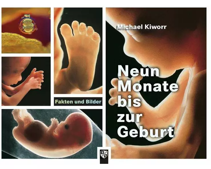 Neun Monate bis zur Geburt