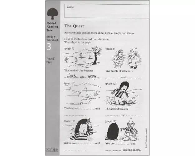 Oxford Reading Tree: Level 9: Workbooks: Workbook 3: The Quest and Survival Adventure (Pack of 6)