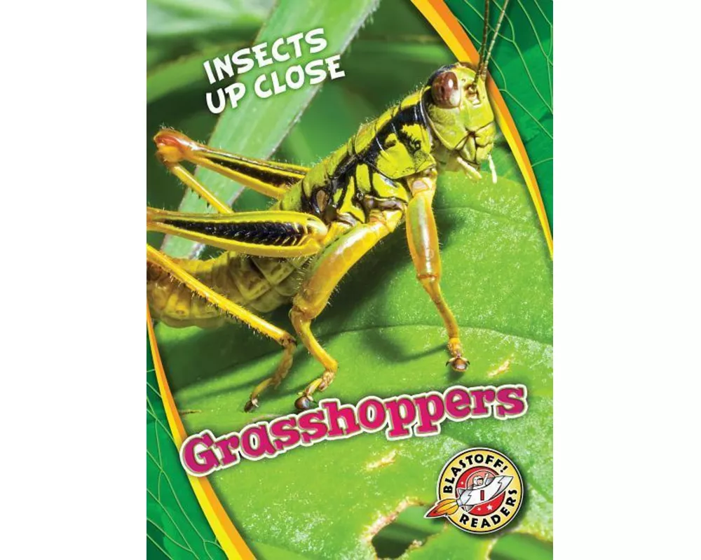 Grasshoppers