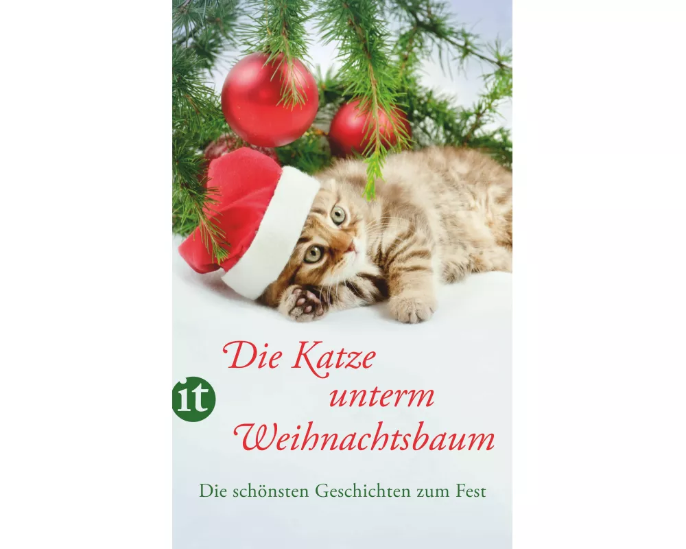 Die Katze unterm Weihnachtsbaum