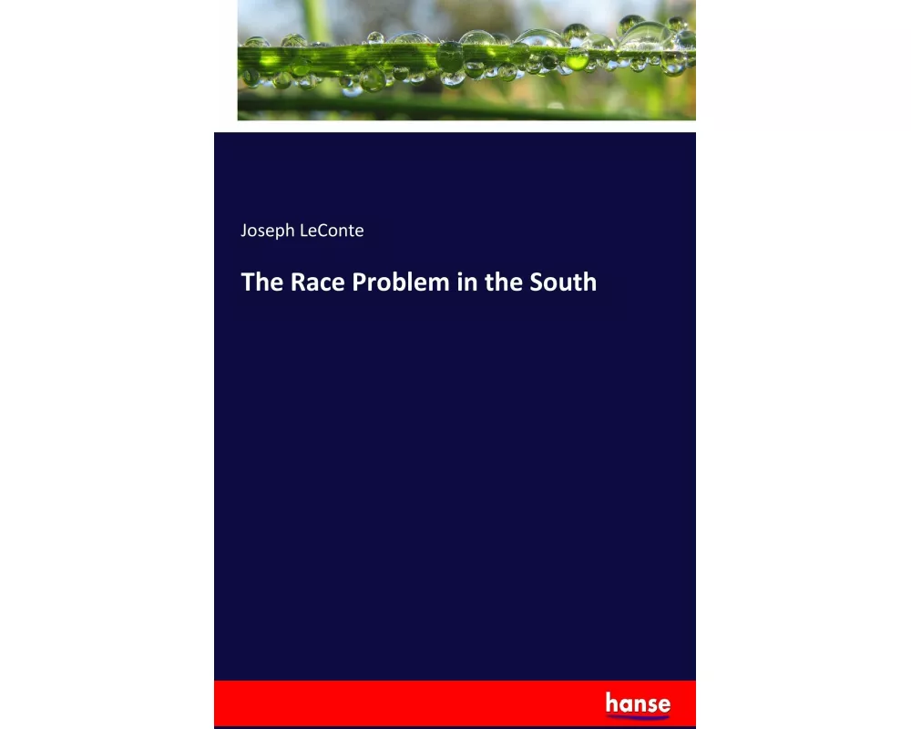 The Race Problem in the South