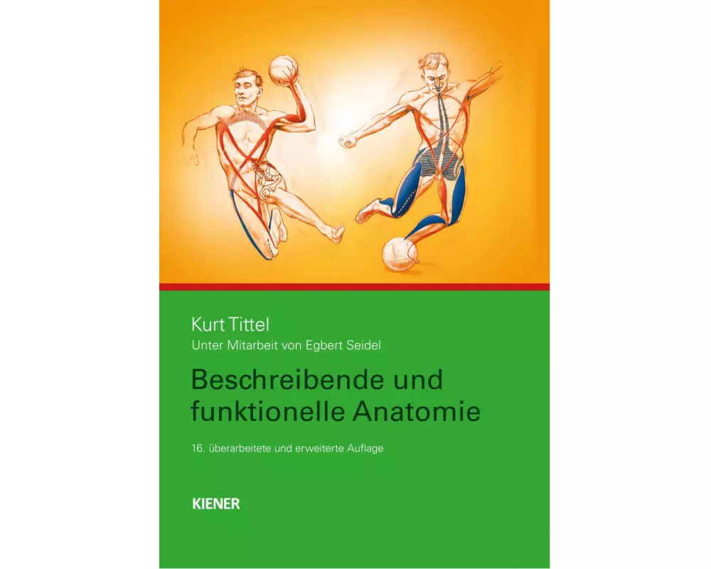 Beschreibende und funktionelle Anatomie