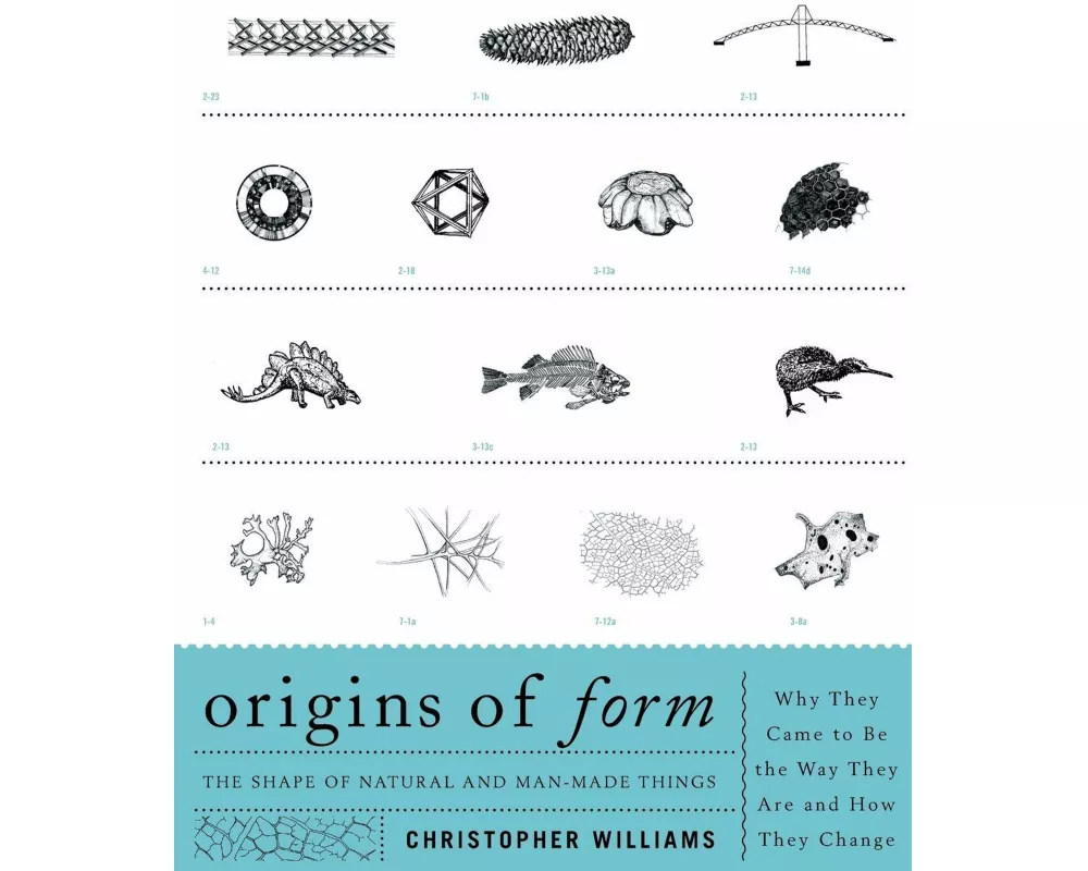 Origins of Form